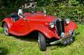 MG TD Cabrio Rot - thumbnail 4