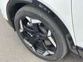 Opel Grandland X Opel Grandland Electric 325PS Weiß - thumbnail 14