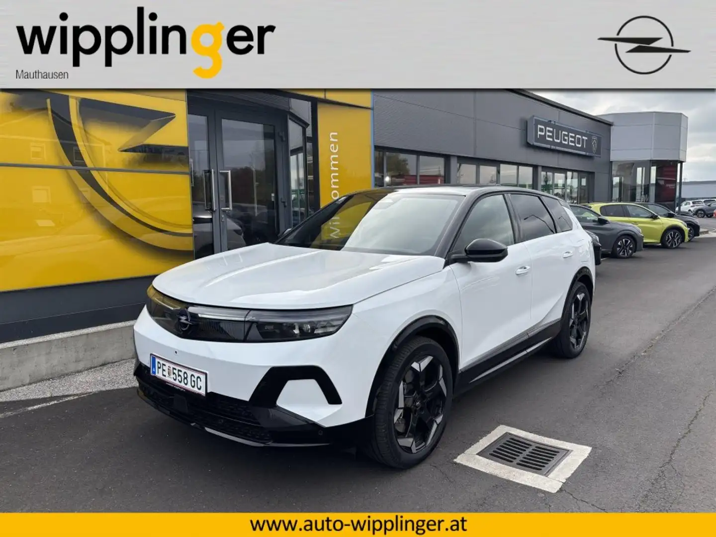 Opel Grandland X Opel Grandland Electric 325PS Weiß - 1
