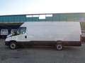 Iveco Daily 35S16 furgone Passo 4100 tetto alto Bianco - thumbnail 4