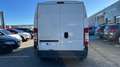 Peugeot Boxer TOLE 335 L3H2 2.2 HDi 100 CONFORT Blanc - thumbnail 6
