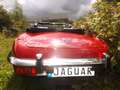 Jaguar E-Type E - top Zustand und sogar mit Schaltgetriebe!! Rot - thumbnail 11