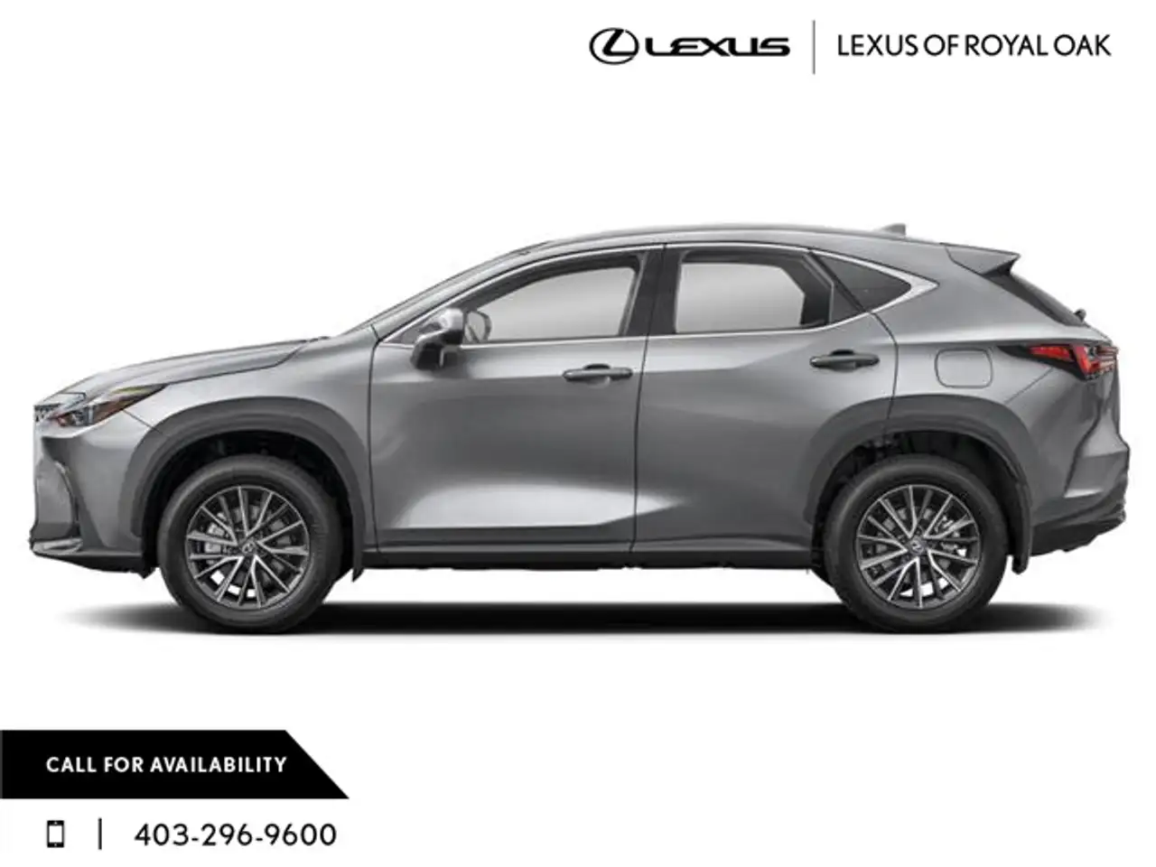 Lexus NX снимка Lexus NX
