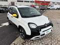 Fiat Panda 1.0 FireFly 70cv S&S Hybrid Pandina Bianco - thumbnail 5