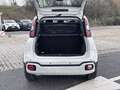 Fiat Panda 1.0 FireFly 70cv S&S Hybrid Pandina Bianco - thumbnail 11