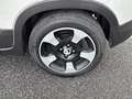 Fiat Panda 1.0 FireFly 70cv S&S Hybrid Pandina Bianco - thumbnail 7