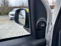 Fiat Panda 1.0 FireFly 70cv S&S Hybrid Pandina Bianco - thumbnail 12