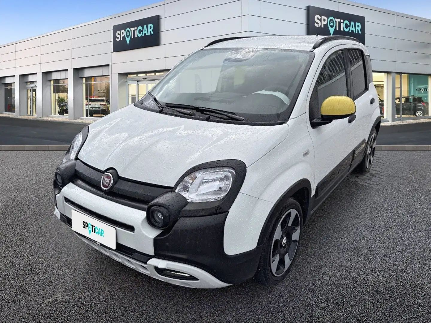 Fiat Panda 1.0 FireFly 70cv S&S Hybrid Pandina Bianco - 1