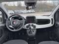 Fiat Panda 1.0 FireFly 70cv S&S Hybrid Pandina Bianco - thumbnail 8