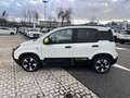 Fiat Panda 1.0 FireFly 70cv S&S Hybrid Pandina Bianco - thumbnail 2