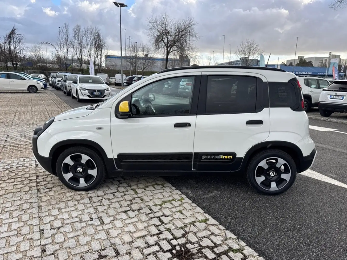 Fiat Panda 1.0 FireFly 70cv S&S Hybrid Pandina Bianco - 2
