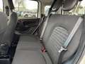 Fiat Panda 1.0 FireFly 70cv S&S Hybrid Pandina Bianco - thumbnail 10