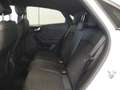 Ford Puma 1.0 EcoBoost MHEV ST-Line X 125 Blanco - thumbnail 13