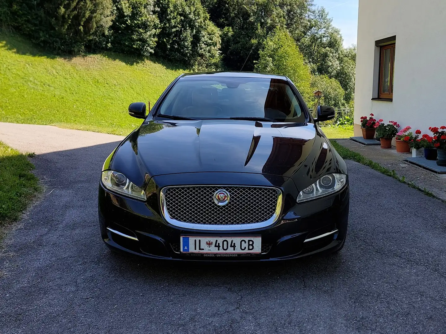 Jaguar XJ XJ 3,0 Diesel Portfolio LWB TSS Portfolio Brązowy - 1