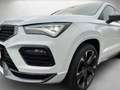 CUPRA Ateca 2.0 TSI 4Drive DSG *ACC*Pano*LED*Navi* Weiß - thumbnail 4