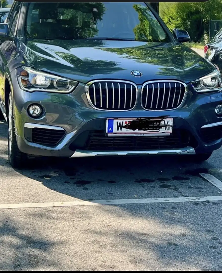 BAW Sonstige X1 Msport Grau - 1