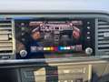 SEAT Ateca Style DSG LED Kamera Kessy Dinamica Beats Grau - thumbnail 34