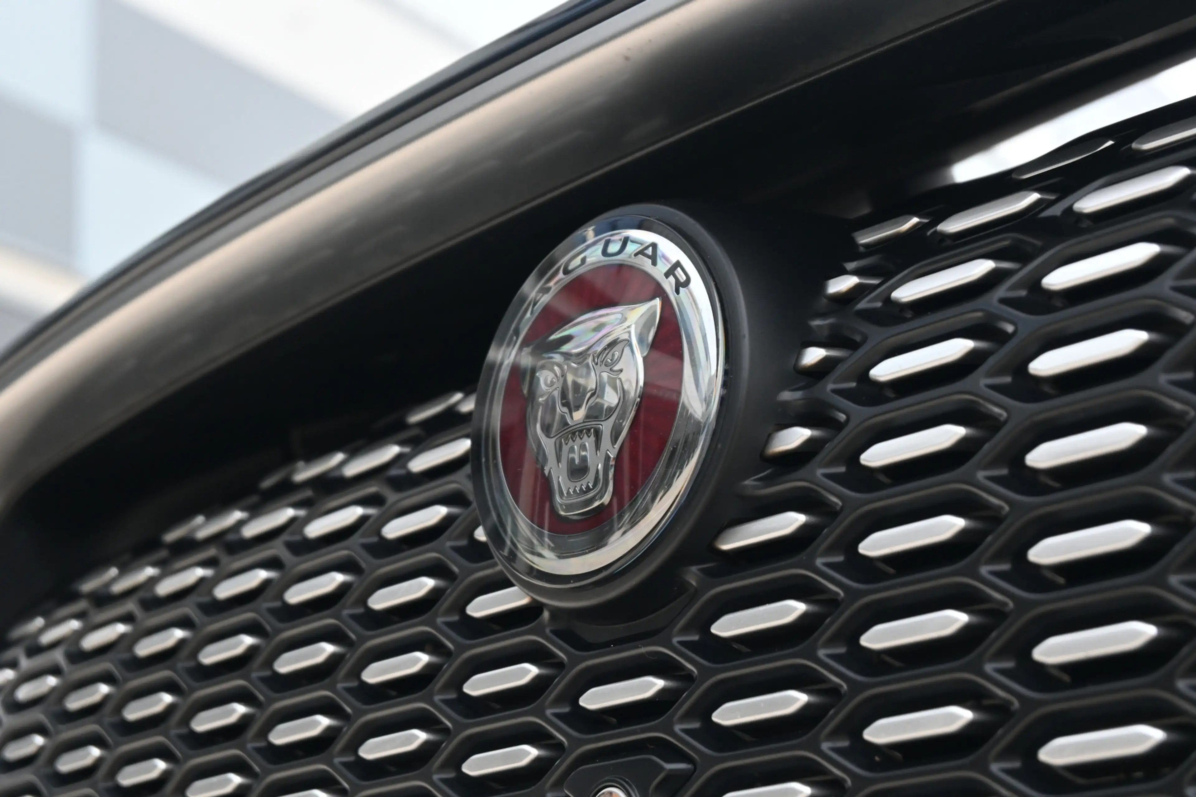 Jaguar I-Pace EV320 S Business Pack 90 kWh — photo 14