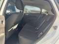 Ford Fiesta Trend++Sitzheizung++Wenige KM!++Allwetterreifen!++ Blanc - thumbnail 11