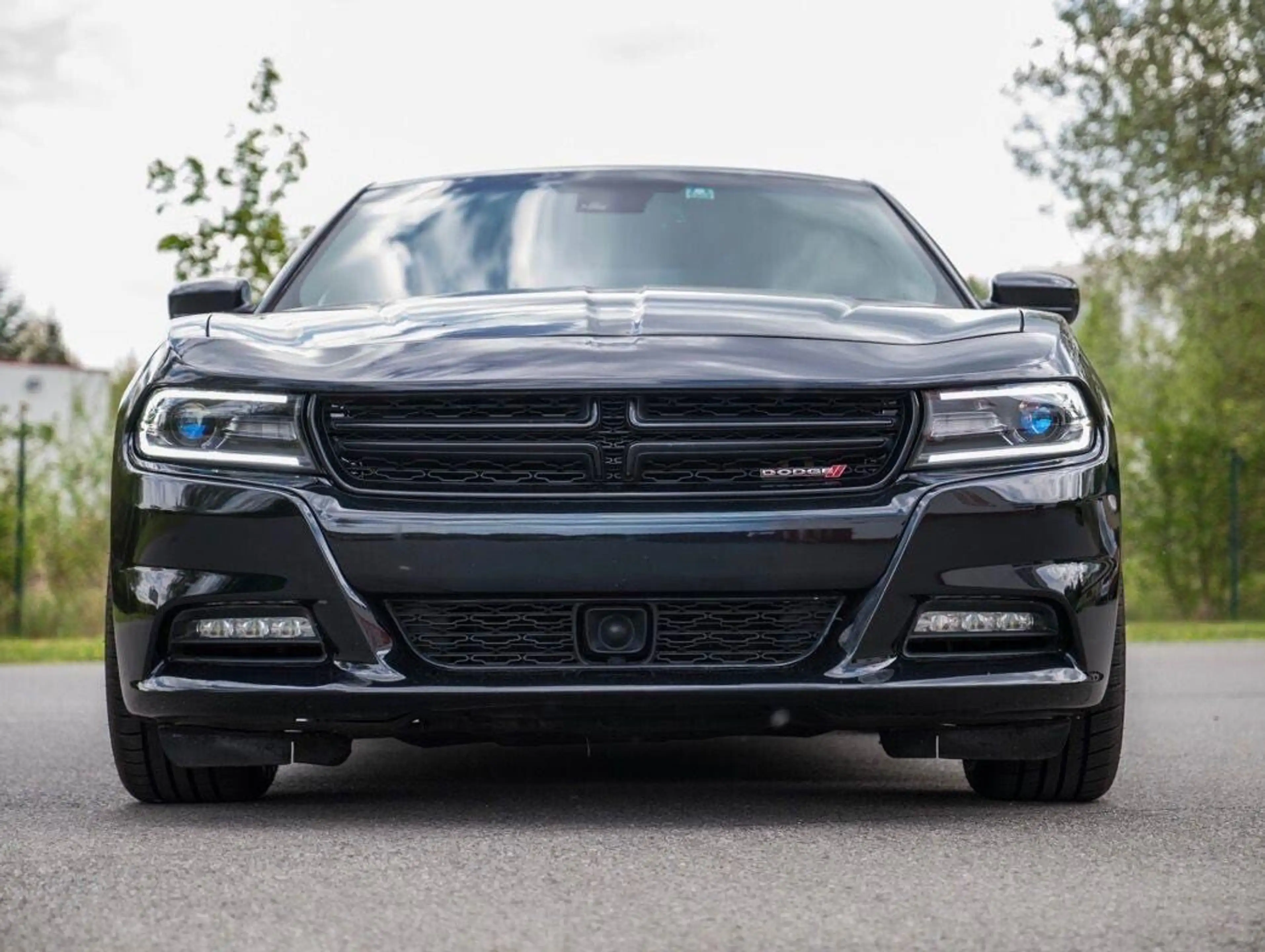 Dodge Charger — photo 5