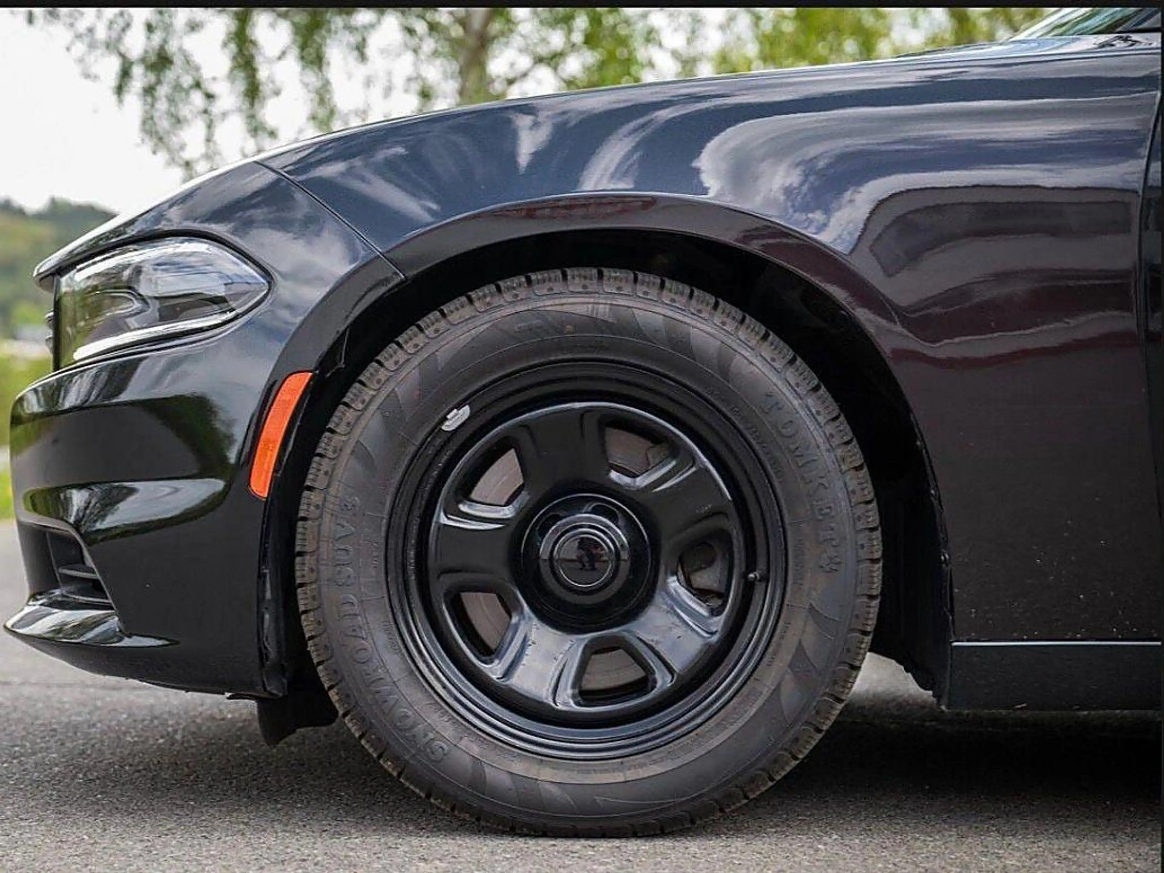 Dodge Charger — photo 6