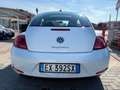 Volkswagen Maggiolino MAGGIOLINO 1.6TDI 105CV UNICO PROPRIETARIO Wit - thumbnail 5