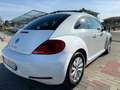 Volkswagen Maggiolino MAGGIOLINO 1.6TDI 105CV UNICO PROPRIETARIO Wit - thumbnail 6