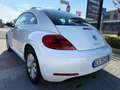 Volkswagen Maggiolino MAGGIOLINO 1.6TDI 105CV UNICO PROPRIETARIO Wit - thumbnail 4