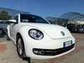 Volkswagen Maggiolino MAGGIOLINO 1.6TDI 105CV UNICO PROPRIETARIO Wit - thumbnail 7