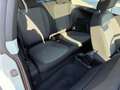 Volkswagen Maggiolino MAGGIOLINO 1.6TDI 105CV UNICO PROPRIETARIO Wit - thumbnail 14
