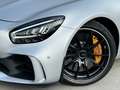 Mercedes-Benz AMG GT R - V8 Bi-Turbo - thumbnail 14