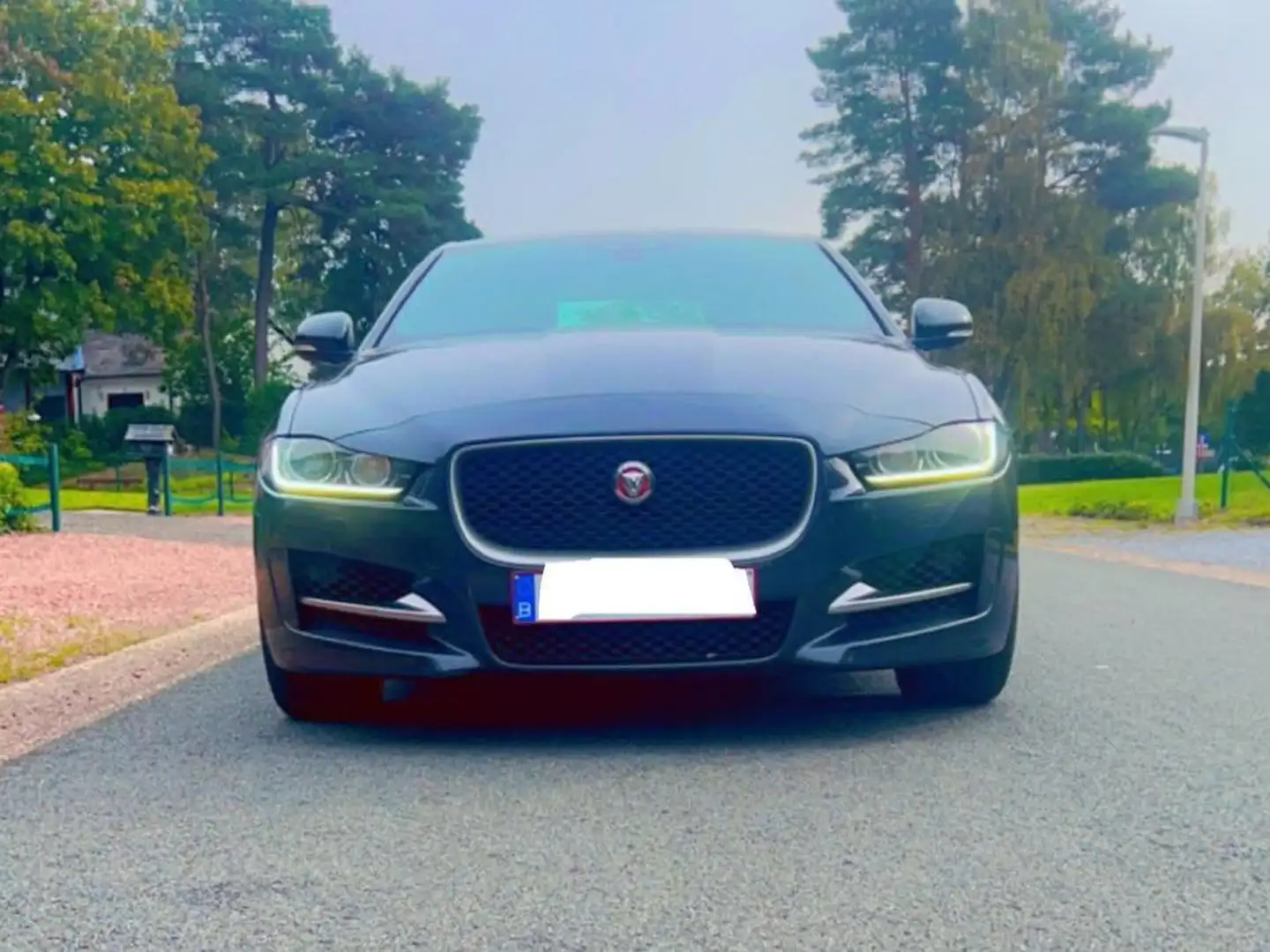 Jaguar XE XE E-Performance Aut. R-Sport Gris - 1