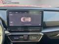 CUPRA Formentor 2.0 TDI LED+NAVI+ACC+PDC+KAMERA+AHK+KEYLESS Rot - thumbnail 13