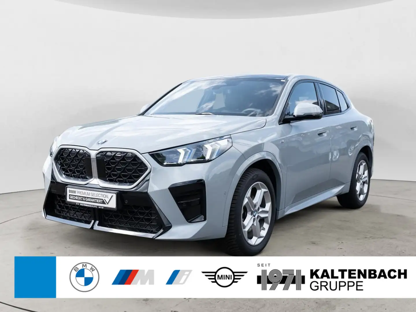 BMW X2 sDrive 20i M-Sport PANO AHK HUD LED ACC Gris - 1