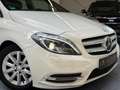 Mercedes-Benz B 180 Exclusive/Pano/Bi-Xenon/Navi/BT/SHZ/PDC Wit - thumbnail 3