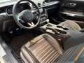 Ford Mustang 5.0 V8 Mach 1 Fastback 13 km neuwertig Gris - thumbnail 7