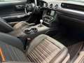 Ford Mustang 5.0 V8 Mach 1 Fastback 13 km neuwertig Gris - thumbnail 11