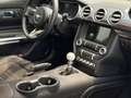 Ford Mustang 5.0 V8 Mach 1 Fastback 13 km neuwertig Gris - thumbnail 13