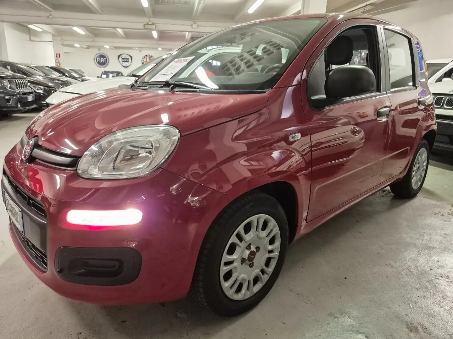 Fiat Panda Panda 1.2i 69cv "EASY", 65.000km, ECCELSA! Rosso - 1