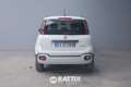 Fiat Panda 1.0 Firefly Hybrid 70CV Cross 5p.ti Bianco - thumbnail 5