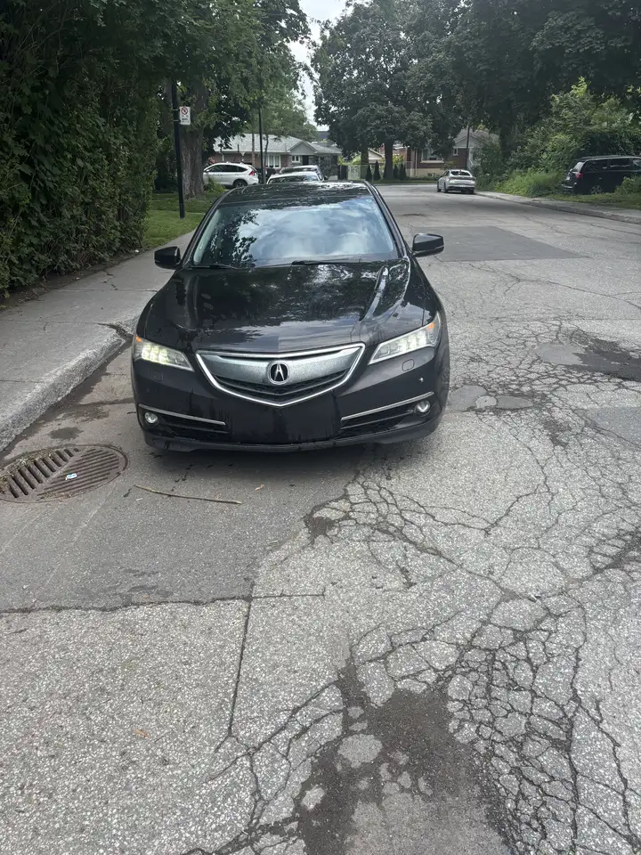   TLX