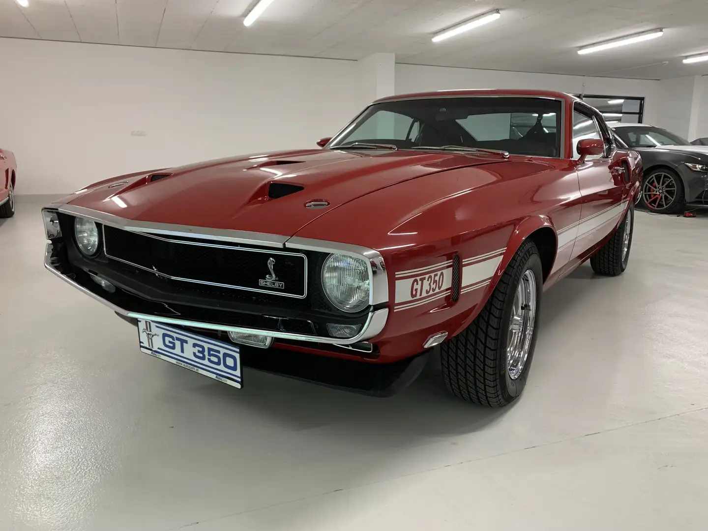 Ford Mustang Shelby GT350 Fastback Rot - 1