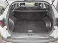 Hyundai TUCSON 1.6 GDI Select Mild-Hybrid Navi LED RFK Weiß - thumbnail 12