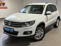 Volkswagen Tiguan 2.0 TDI Exclusive 4Motion AHK+LEDER+NAVI+ Weiß - thumbnail 7