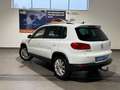 Volkswagen Tiguan 2.0 TDI Exclusive 4Motion AHK+LEDER+NAVI+ Weiß - thumbnail 9