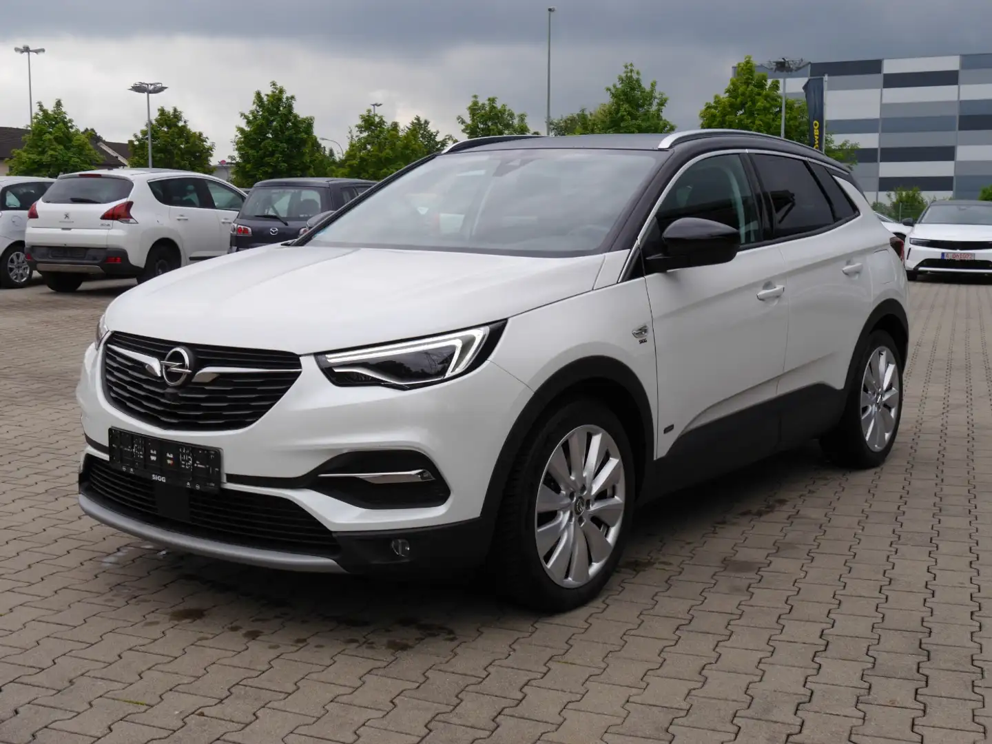 Opel Grandland X 1.6 T Hybrid Ultimate NAV Kamera Wit - 2