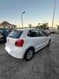 Volkswagen Polo 1.2 TDI DPF 5 porte Tech&Sound Bianco - thumbnail 4