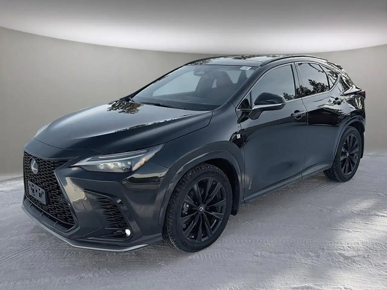 2022 Lexus NX fotografie 2022 Lexus NX