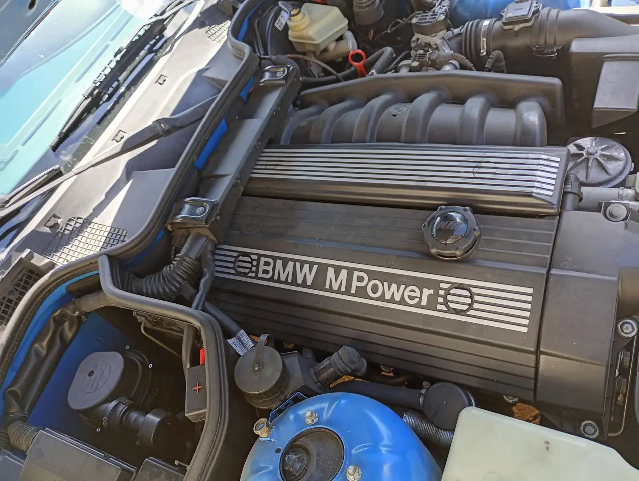 BMW Z3 M Z3 Roadster 3.2 325cv, foto 7