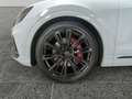 Audi SQ8 4.0 TFSI tiptronic competition plus MATRIX Weiß - thumbnail 6